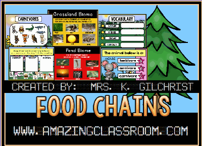Food Chains and Biomes Flipchart