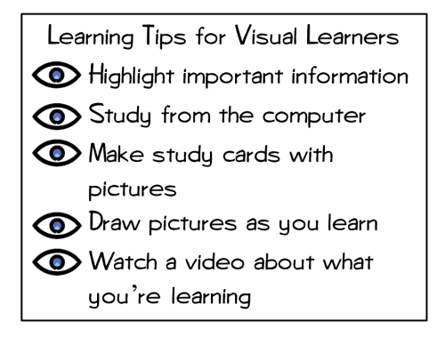 3 Classroom Learning Styles Posters